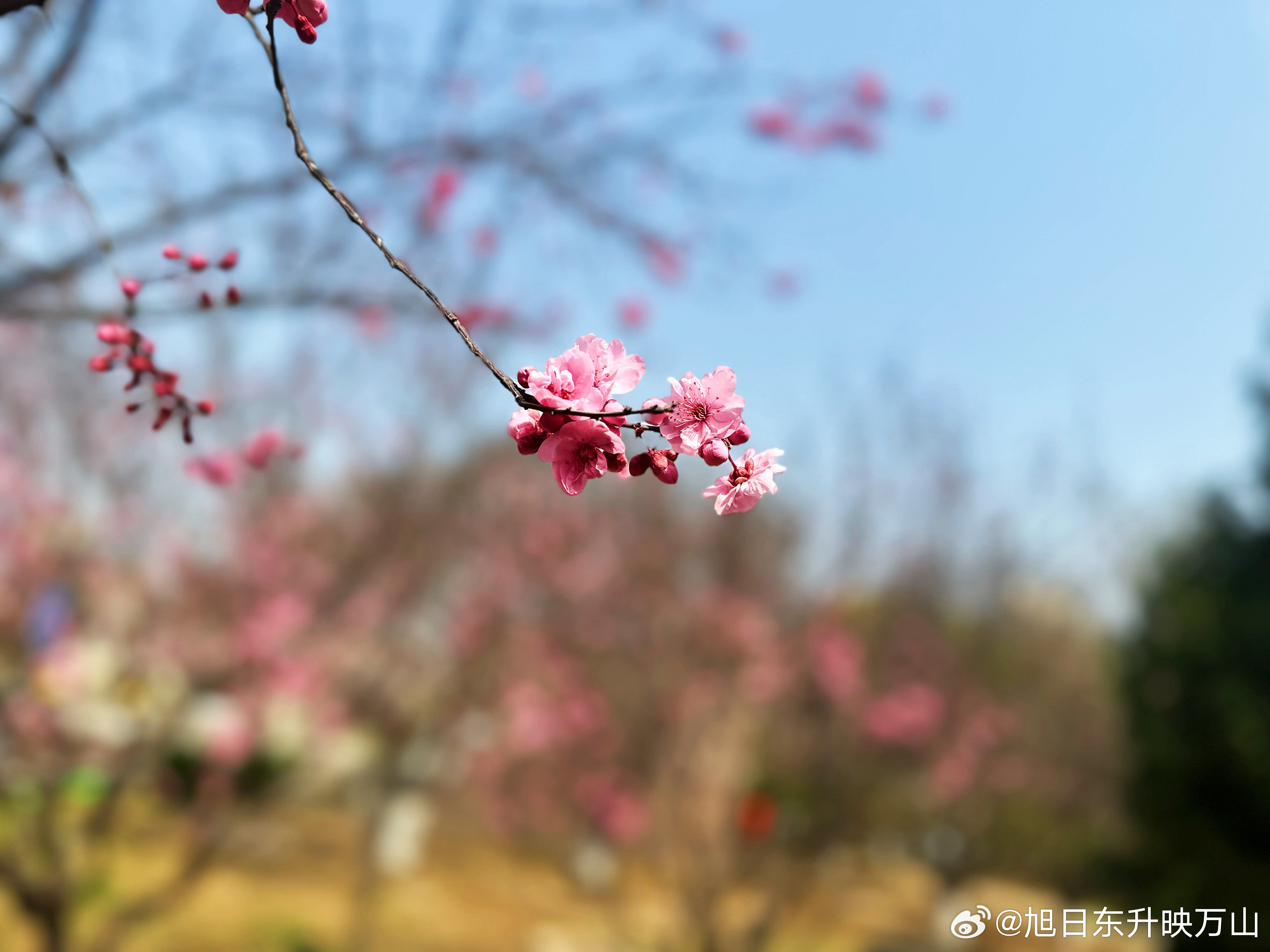 春暖花开最新地址,春暖花开最新地址，探索自然与人文的交融之地