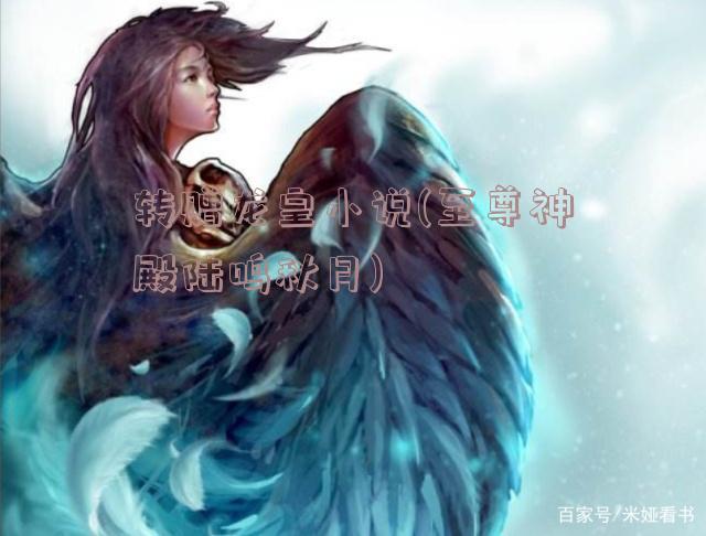 陆鸣至尊神殿最新章节，小巷神秘瑰宝揭秘