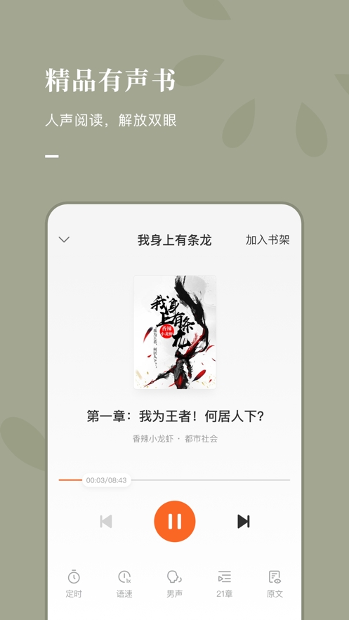 番茄最新小说，多维度视角下的观点碰撞与融合探讨