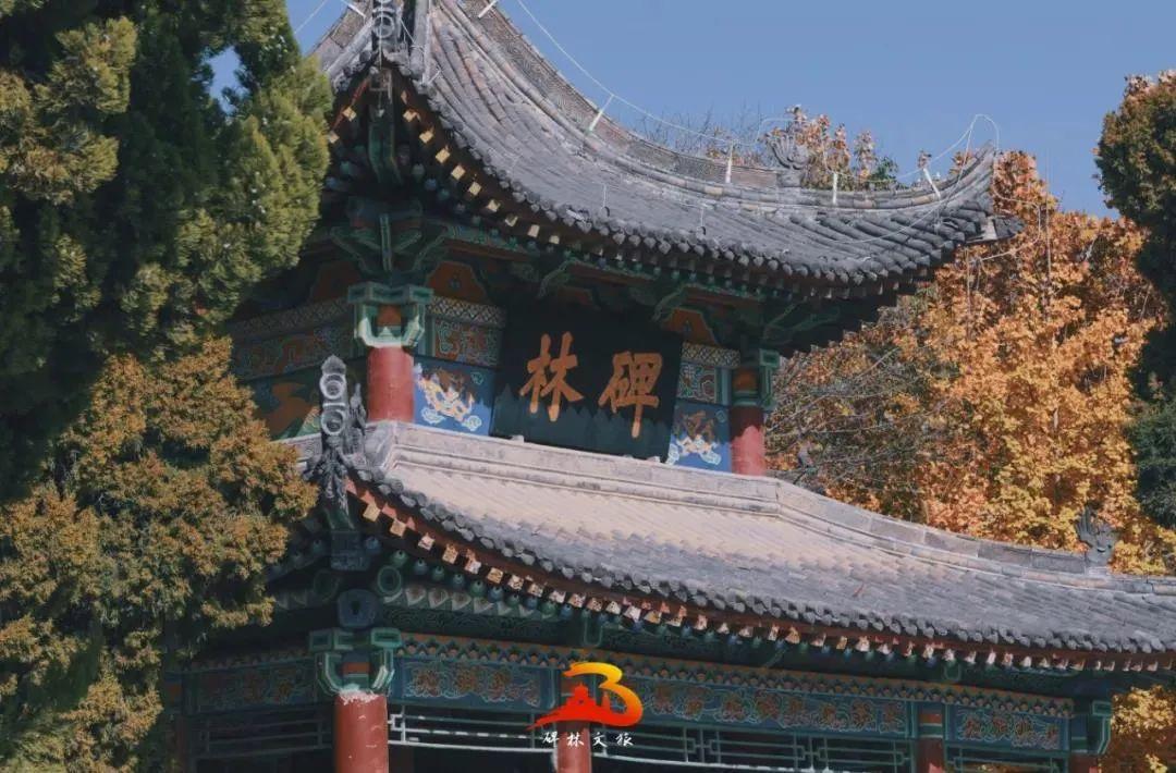 最新版天堂资源中文官网,最新版天堂资源中文官网，时代的瑰宝与文化的汇聚地