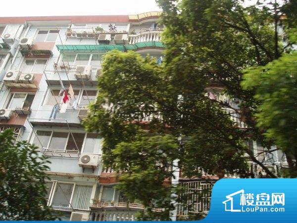 上海二手房价格最新价,上海二手房价格最新价，一场自然美景的探索之旅