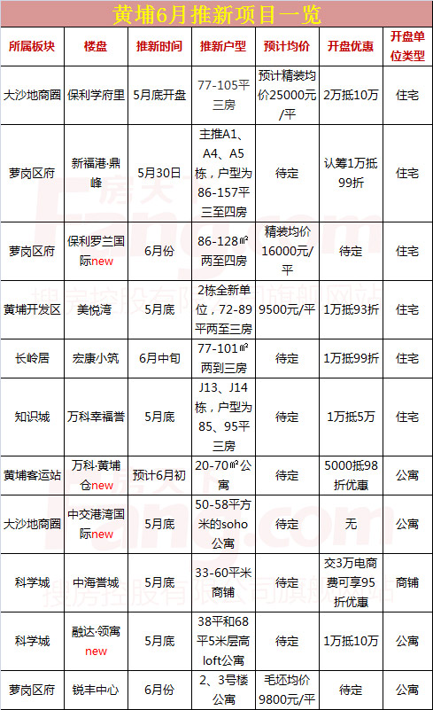广州最新楼盘，市场热度与个人立场考量分析