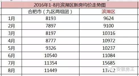 合肥房价走势最新消息，多维度分析与观点阐述的深度探讨
