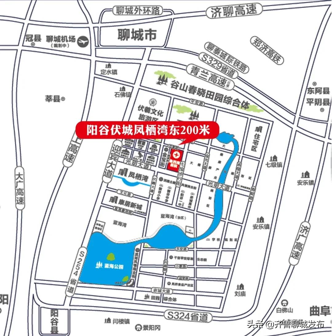 最新医院招聘信息及获取步骤指南