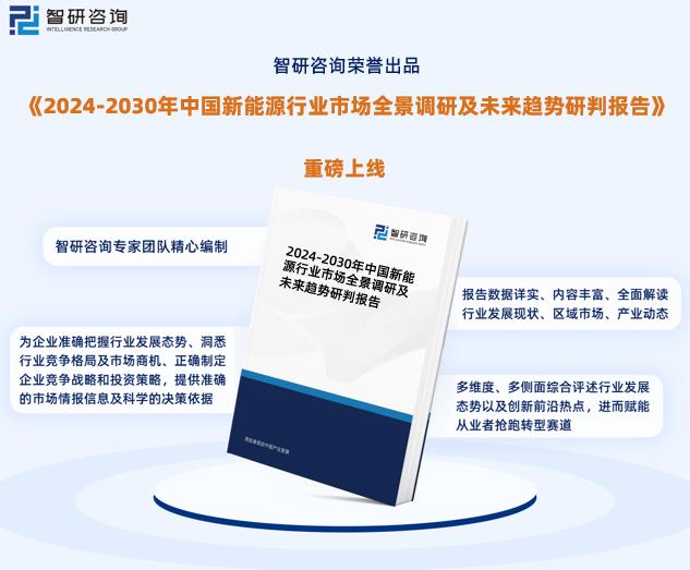 2024新奥资料免费公开,高效评估解答解释方案_进级版73.861