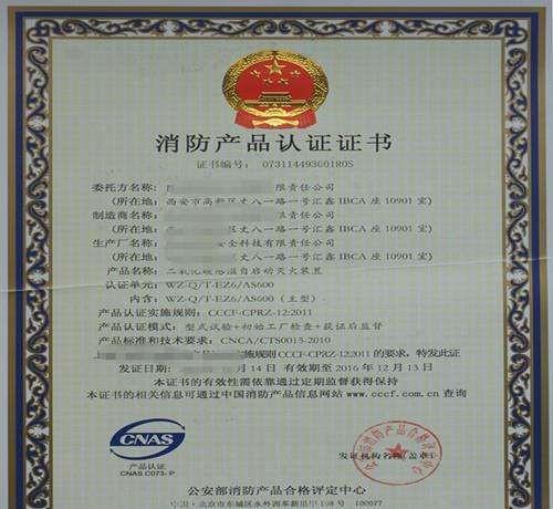 2024新澳正版免费资料大全,证明解答解释落实_融合版65.719