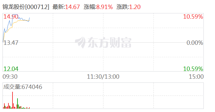 锦龙股份最新动态及消息速递📢🚀
