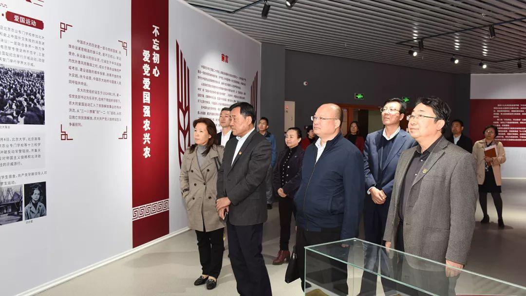 使命召唤最新，时代背景下的荣耀篇章探索