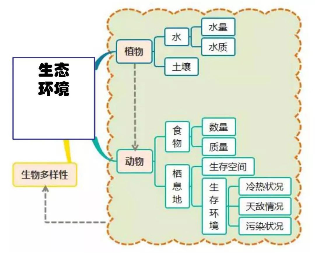 2024年心兰的六肖图网站,设计规划引导方式_高速版