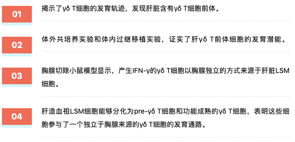 濠江论坛澳门资料2024,全面性解释说明_影像版