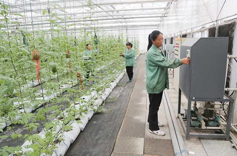 新澳精选资料,农业机械化与电气化_零售版