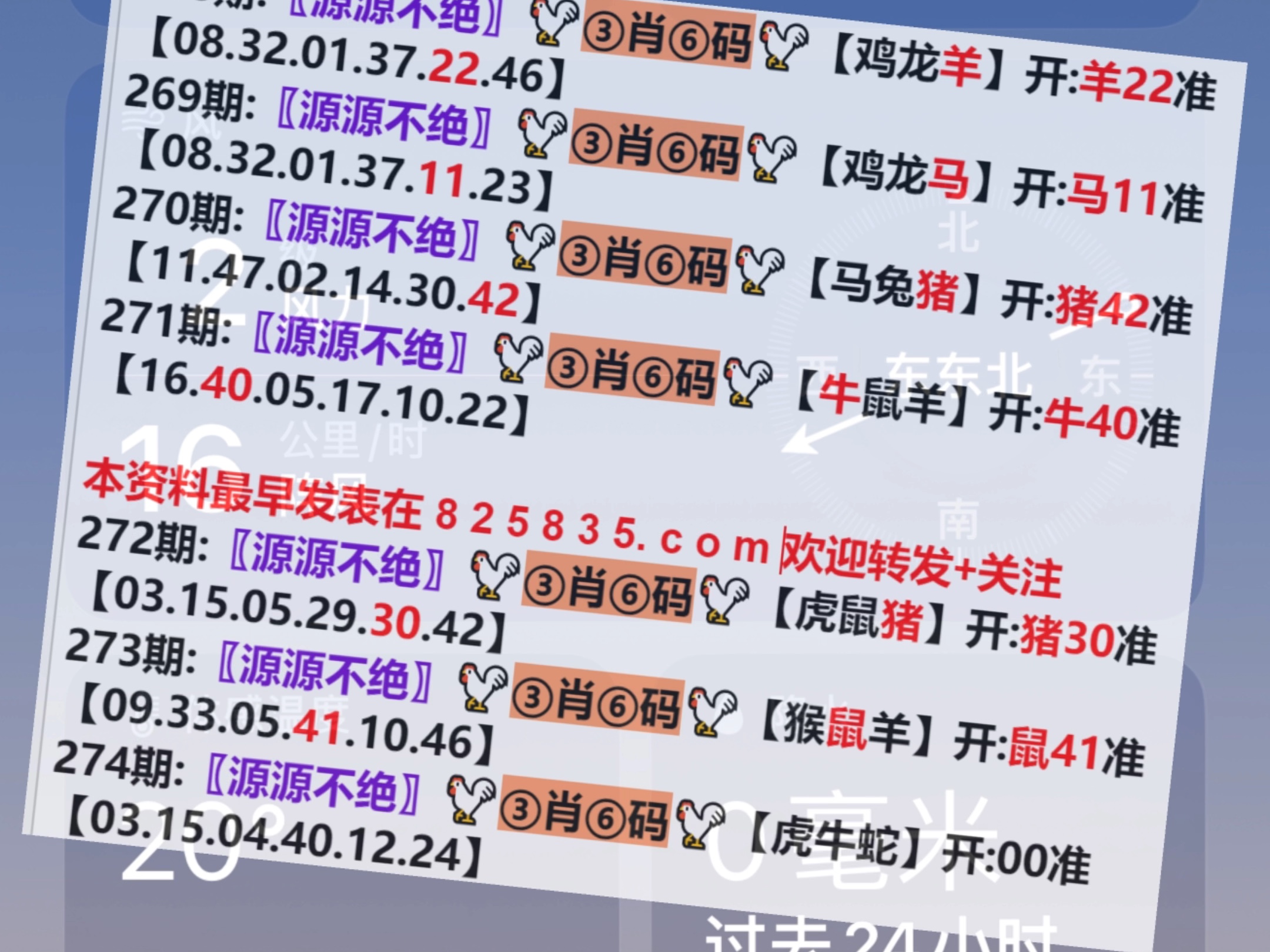 2024澳门开奖结果王中王,实证解析说明_钻石版16.413
