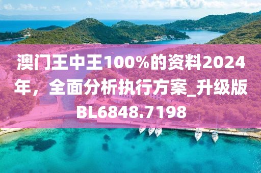 2024年王中王澳门免费大全,数据驱动实施方案_R版8.100