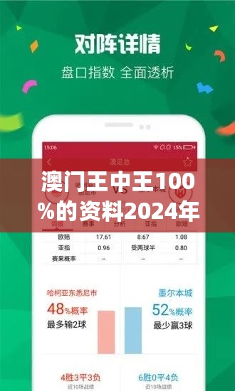 2024年新澳门王中王免费,平衡性策略实施指导_WP15.963