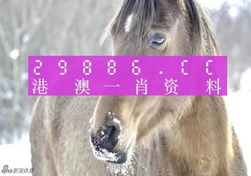 澳门一肖一码100%精准一,最佳精选解析说明_冒险款1.144