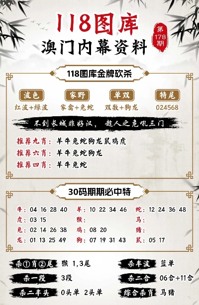 2024澳门精准正版挂牌,实时更新解析说明_经典版9.305