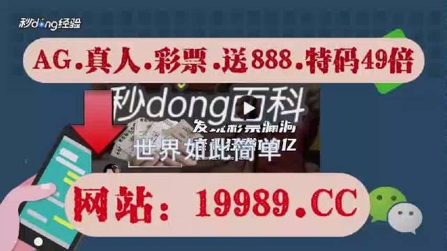 2024澳门天天六开彩查询,权威诠释方法_钻石版1.961