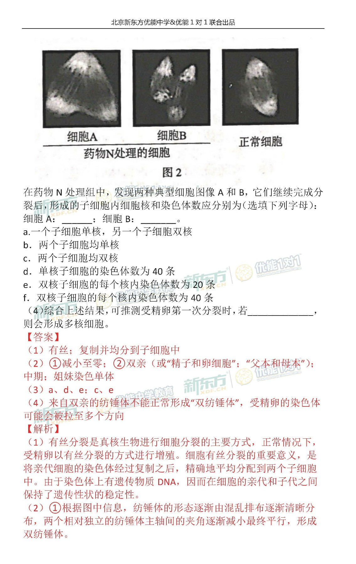正版澳门天天开好彩大全57期,定性解答解释定义_入门版3.127