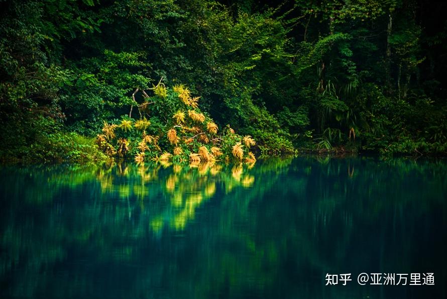 环闻网最新探索，自然美景之旅，寻找内心平和的乐园