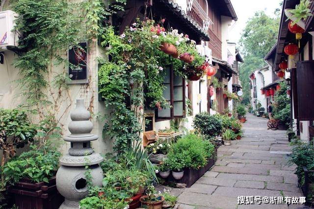 最新返杭条件及小巷深处的独特风情与美食探索