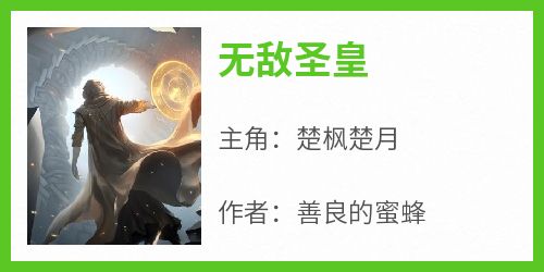 楚枫最新章,楚枫最新章，小巷中的隐秘美味