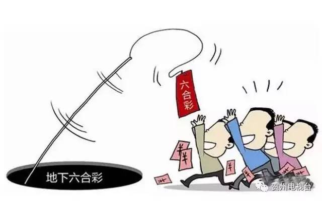 澳门六合今晚资料,专家意见法案_EFO58.639优雅版