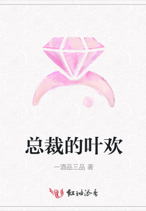 叶欢小说最新,叶欢小说最新，日常温馨趣事