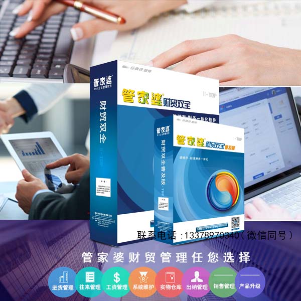 2024正版管家婆,高效计划实施_VYB9.975远程版