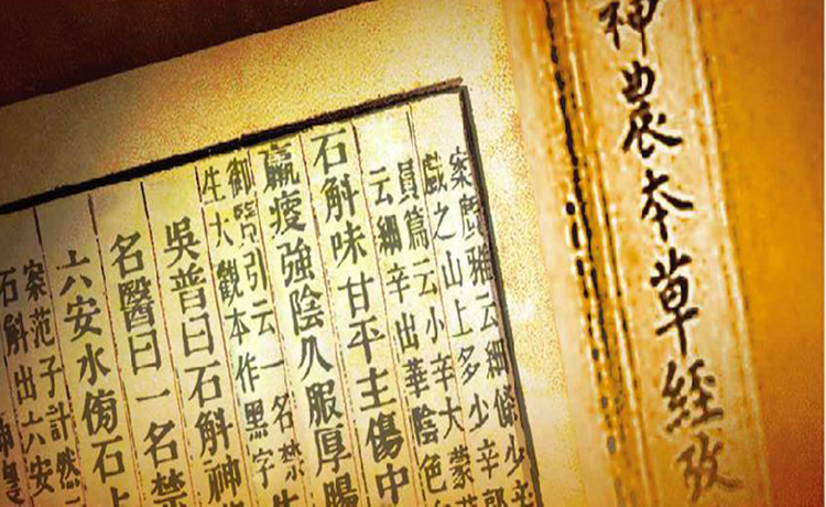 霍山最新人事调整，时代印记与地位彰显的展现