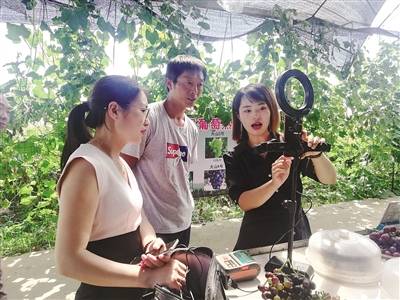 主播最新直播，探索自然美景之旅，追寻内心平静之旅