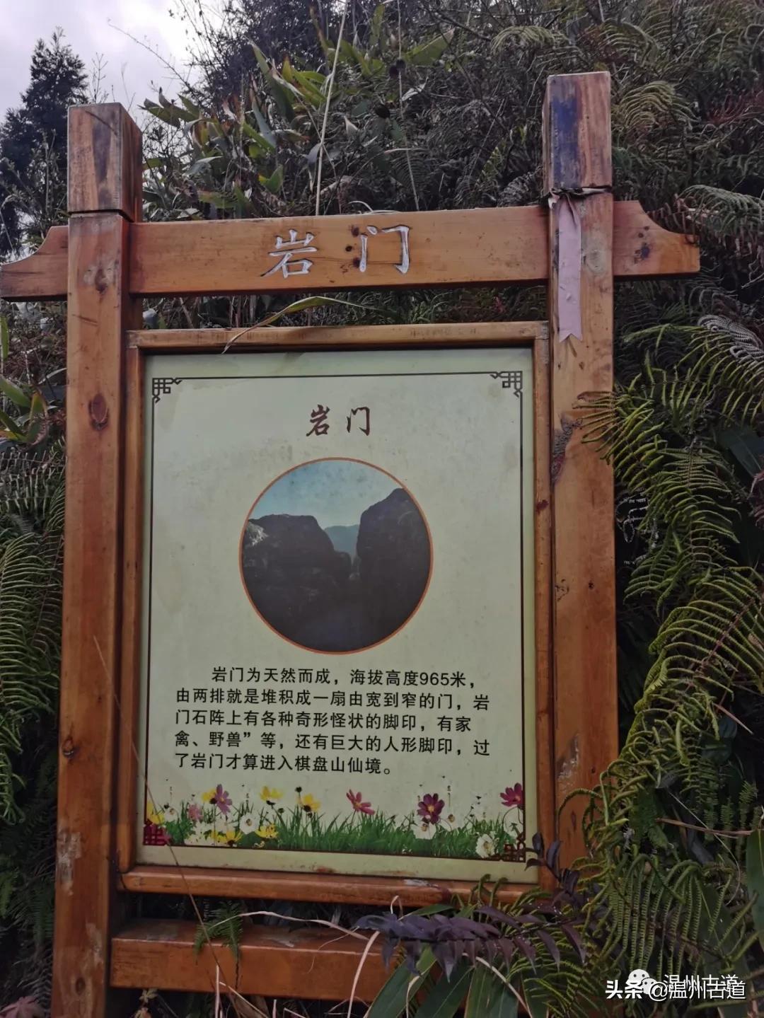 小平阳镇最新探索，自然美景的轻松之旅
