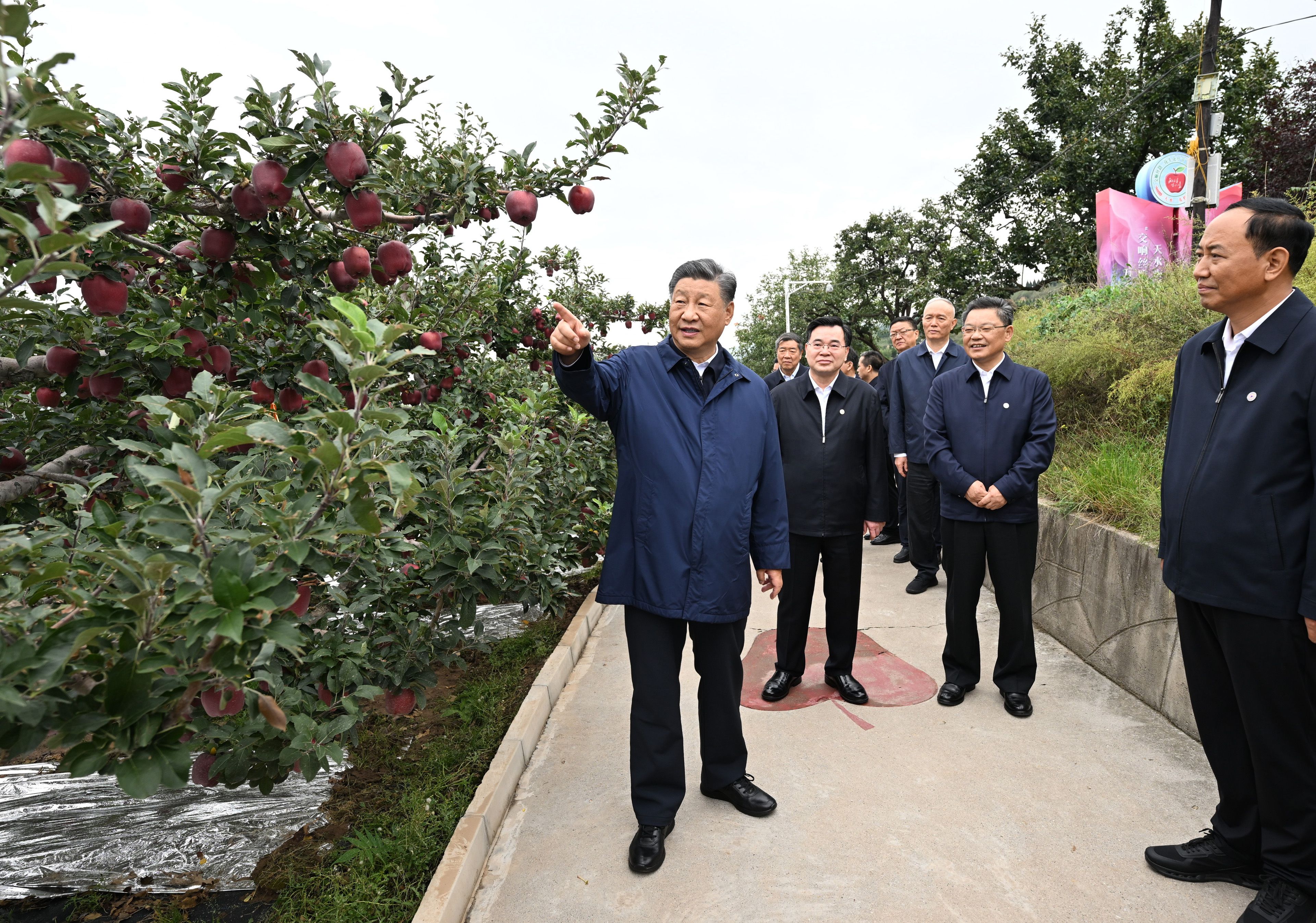 杨凌贴吧最新动态，历史背景、重大事件与地位影响一网打尽