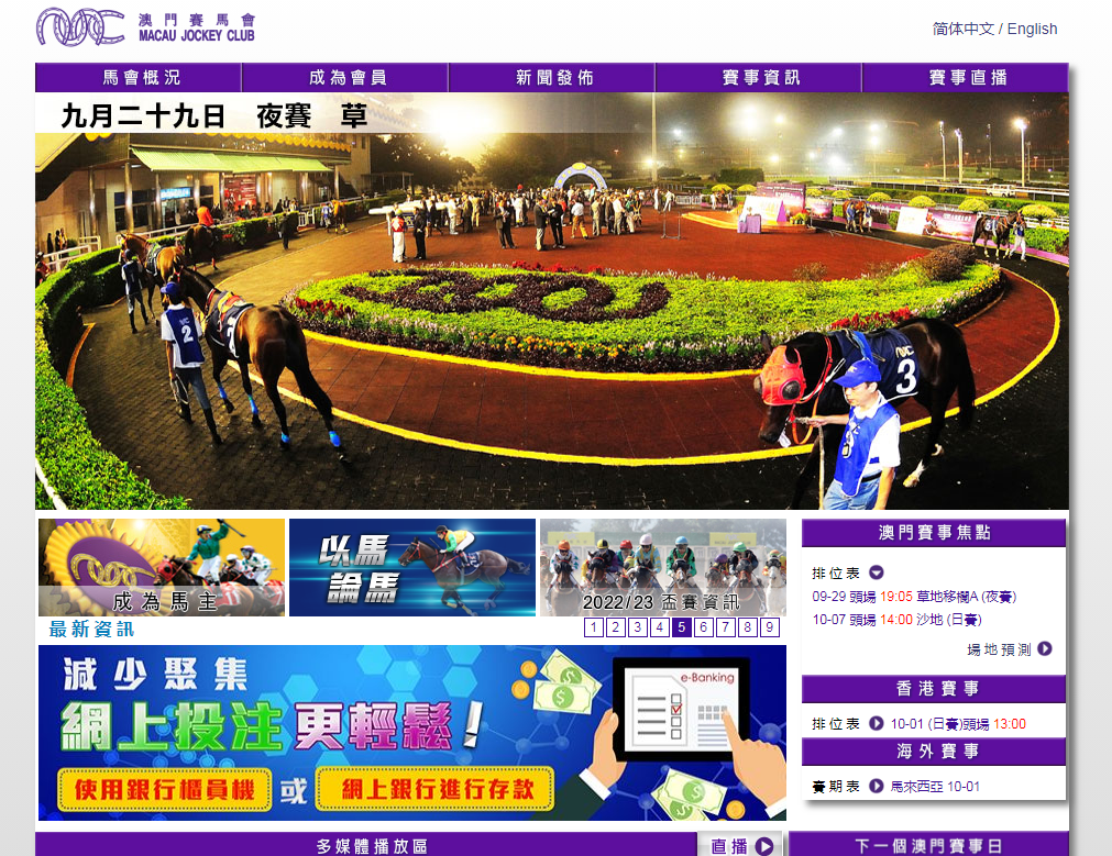 新澳门今晚开特马结果,专业解读方案实施_任务版9.308