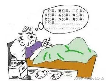 睡不着数羊文化现象深度解析与最新笑话探讨