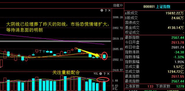 齐心集团股票最新动态解析，全面解读市场走势与个人观点分享