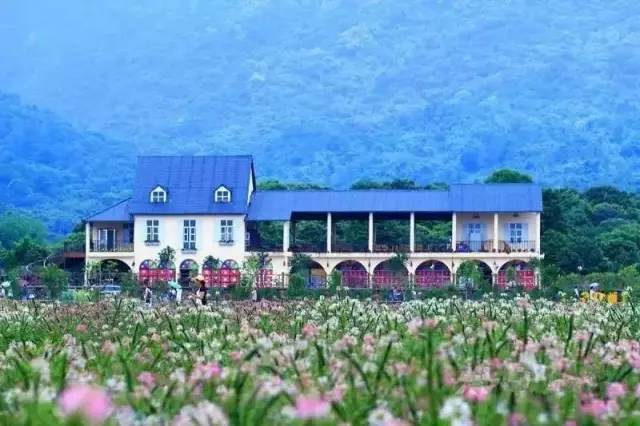 兰考最新二手房探索之旅，自然美景与心灵宁静的寻觅
