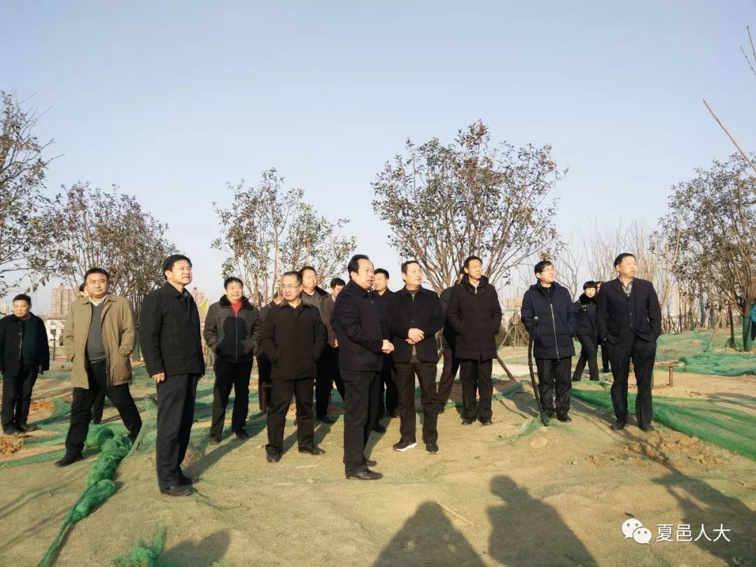 夏邑县牛文武的最新动态更新，最新进展与消息汇总
