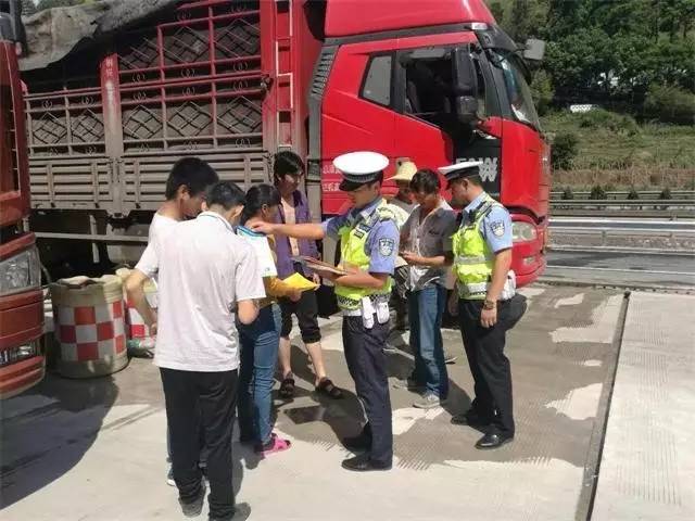 鸡石高速最新动态，交通进展与路况更新🚗🛣️