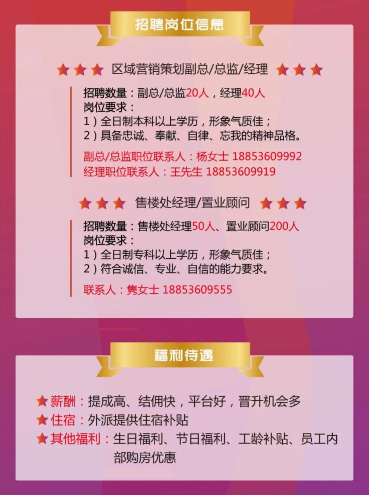 湘潭最新招聘会，友情牵绊与梦想启航的职场之旅