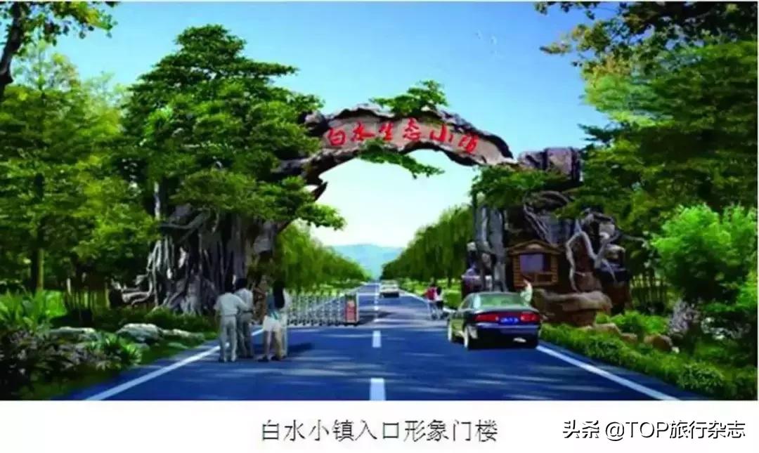 山东林业改革绿意盎然启航，探索自然之美最新动态