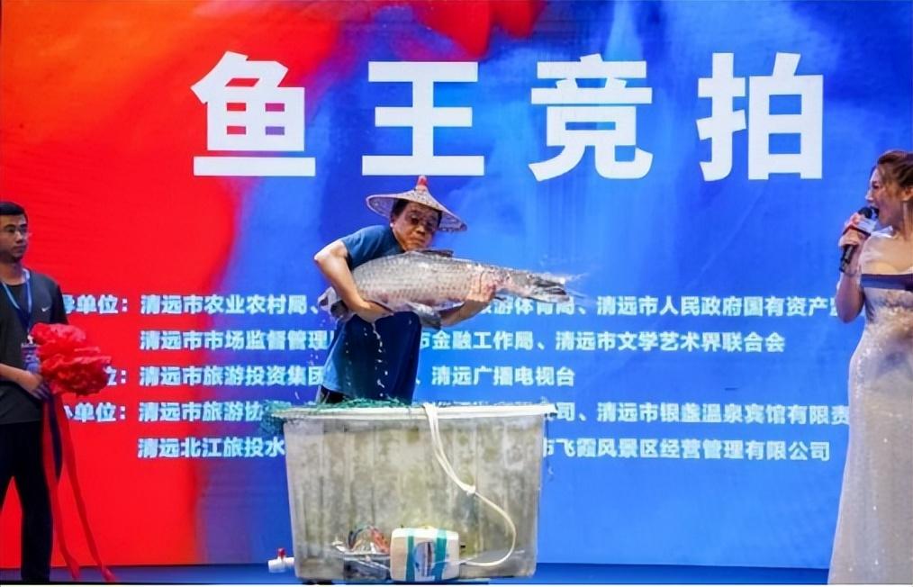 清远最新房屋拍卖公告发布，拍卖信息一览无余！