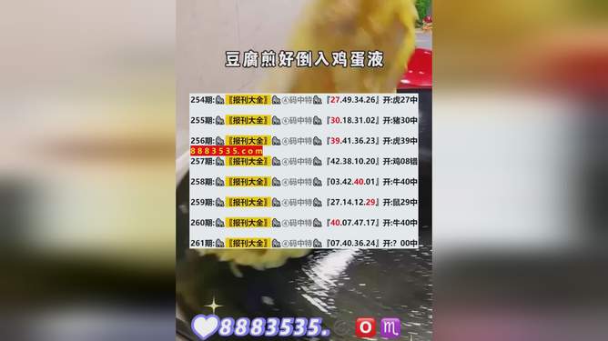 2024年新澳开奖结果,持续性实施方案_快速版16.219