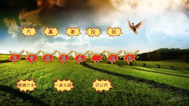 2024新澳门历史开奖记录查询结果,专业地调查详解_便携版16.777