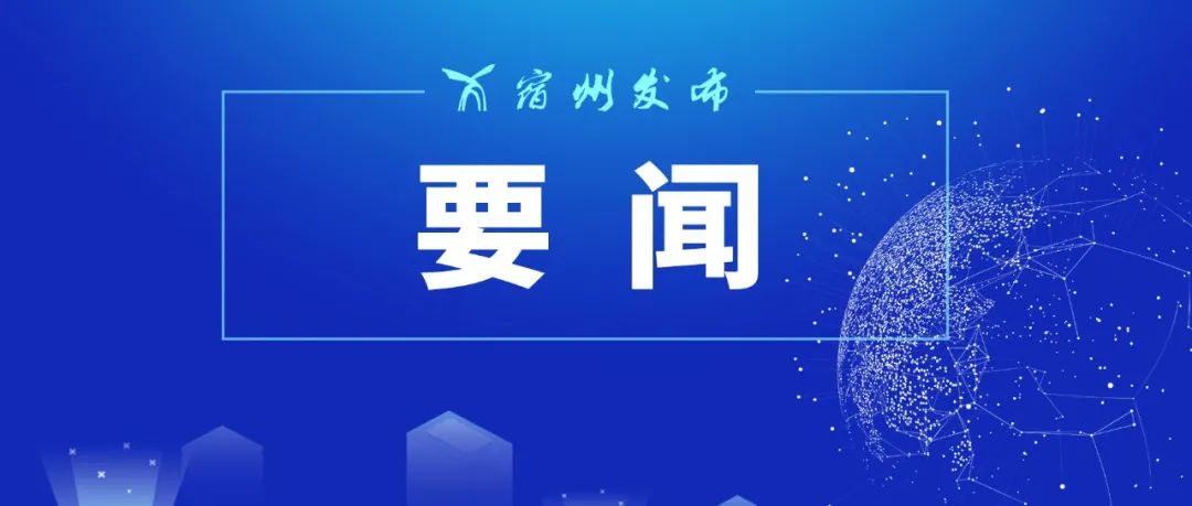 新澳2024天天正版资料大全,实地数据验证_拍照版16.891