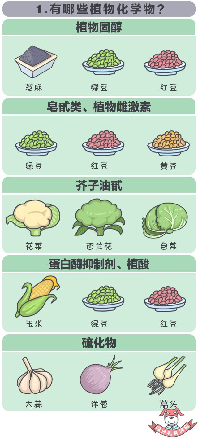 新澳门一码一肖一特一中水果爷爷,化学_性能版16.348