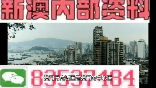 新澳门资料全年免费精准,持续性实施方案_套件版16.778