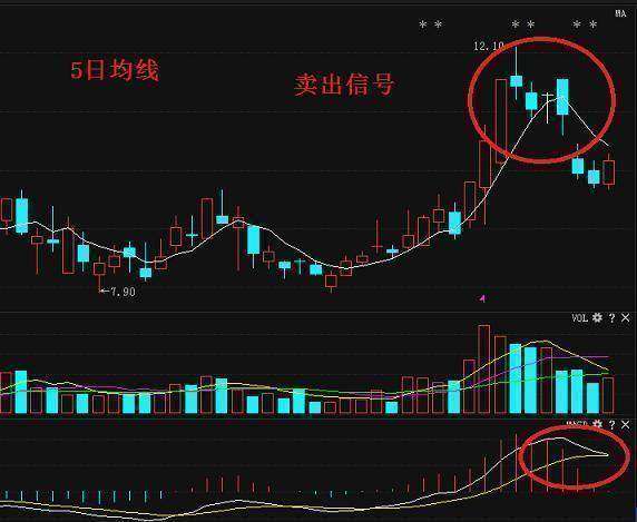 000533股票行情深度解析与投资策略指南