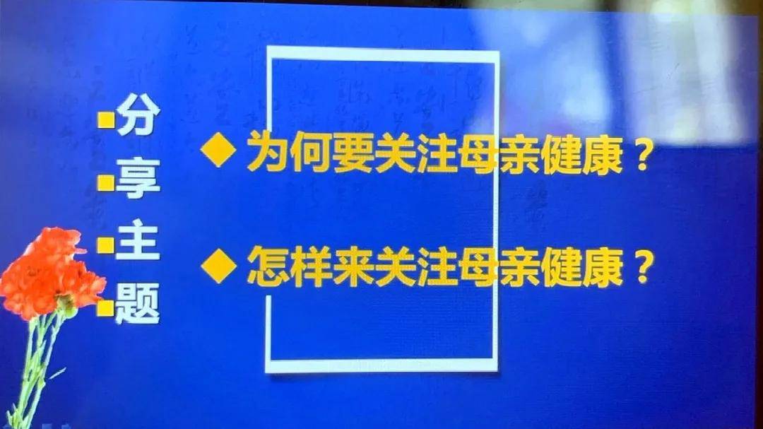 防风最新价格动态，变化中学习，自信与力量的源泉