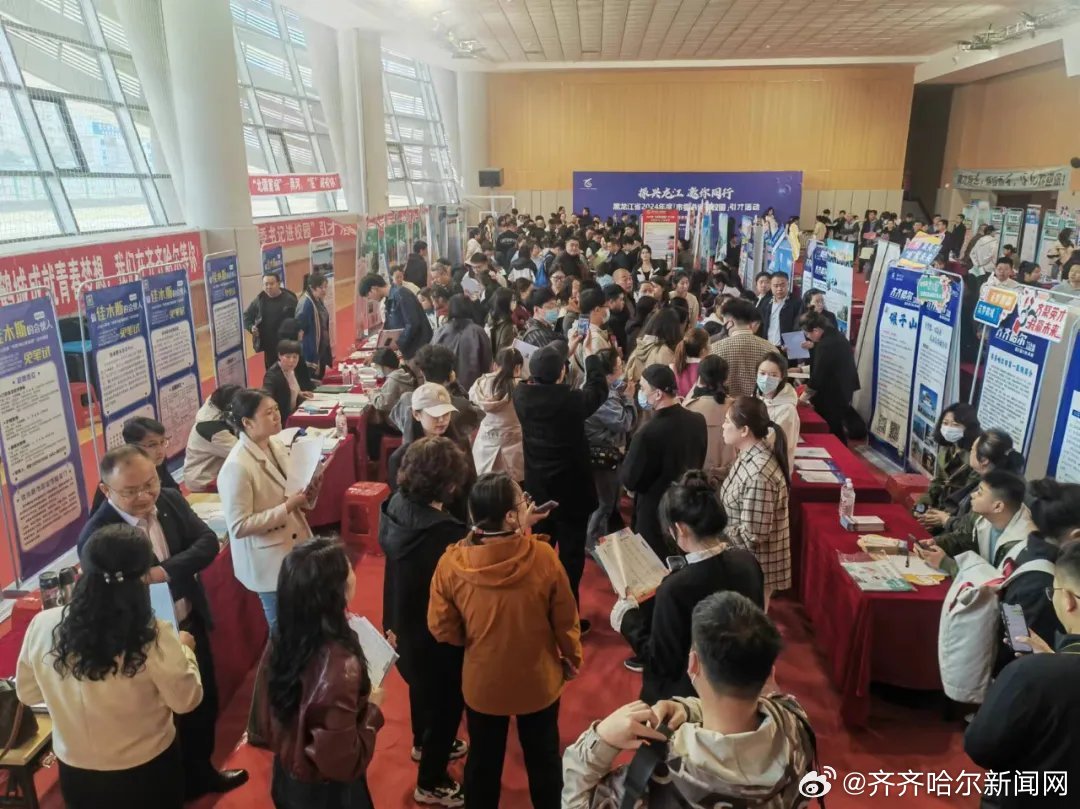 齐齐哈尔最新招聘信息概览与概览
