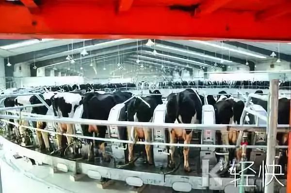 广电国网最新动态，赋能未来，学习引领无限机遇